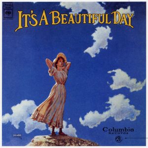 it's a beautiful day - white bird