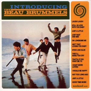 the beau brummels - introducing