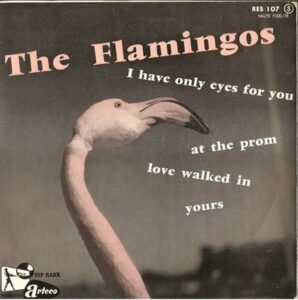 the flamingos