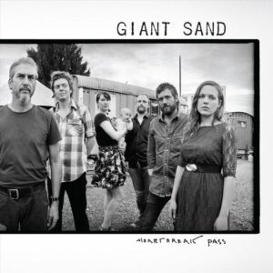 giant sand 