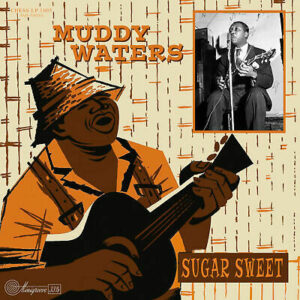 muddy waters