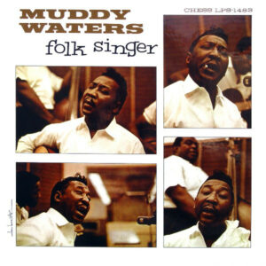 muddy waters