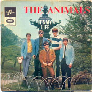 the animals