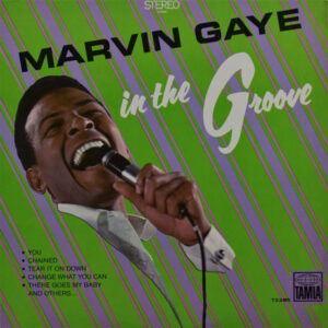 marvin gaye - in the groove