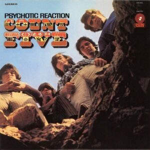 the count five - psychotic reaction