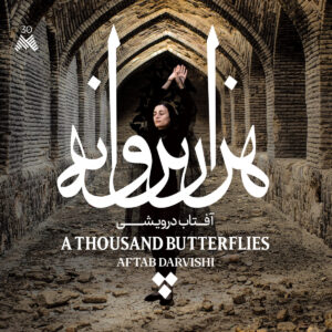 aftab darvishi - a thoussand butterflies