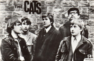 the cats